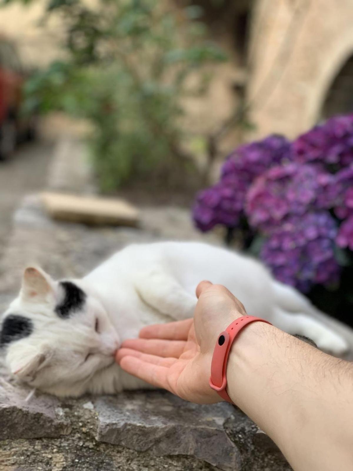 贝瓦尼亚Lucky Garden住宿加早餐旅馆 外观 照片