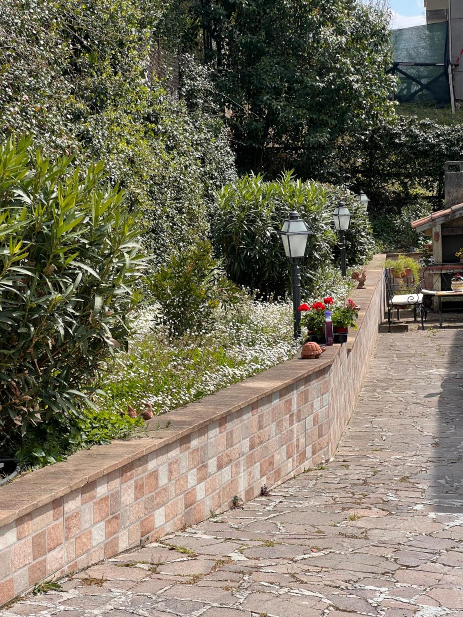 贝瓦尼亚Lucky Garden住宿加早餐旅馆 外观 照片